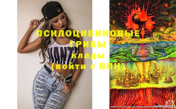 каннабис Бородино
