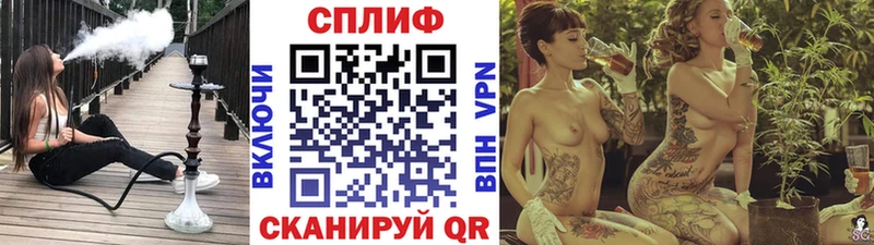 Марихуана план  Пятигорск 
